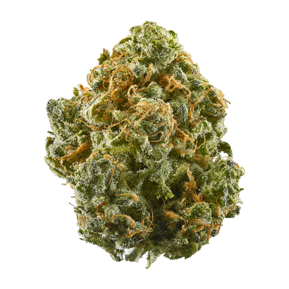 Blue Dream Marijuana Bud Hybrid Strain