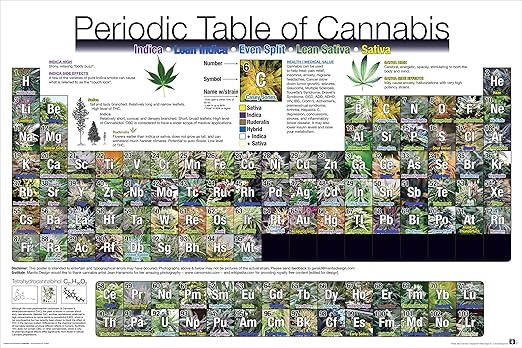 Culturenik Periodic Table of Cannabis (Weed Marijuana Table) Novelty Drug Smoking Humor Poster Print (Unframed 24 x 36 Poster)